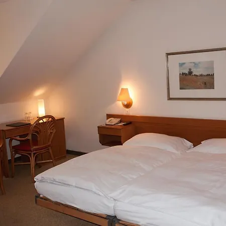 Wettstein Hotell 3*